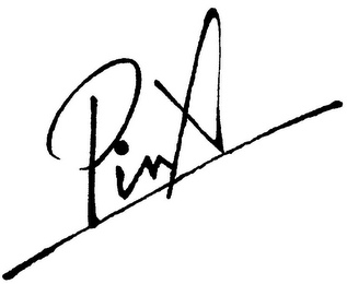 PINX logo