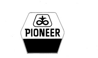 PIONEER logo
