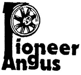 PIONEER ANGUS logo