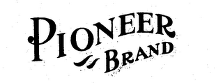 PIONEER BRAND logo