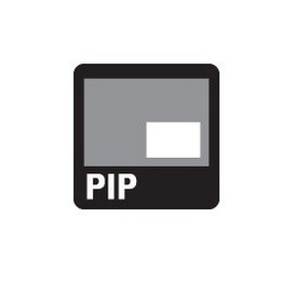 PIP logo