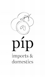 PIP IMPORTS & DOMESTICS logo