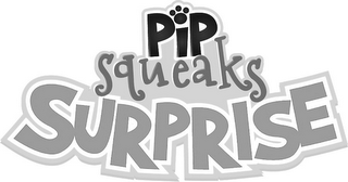 PIP SQUEAKS SURPRISE logo