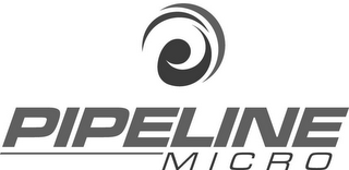 PIPELINE MICRO logo