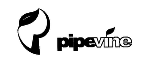 PIPEVINE logo