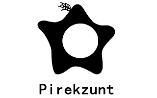 PIREKZUNT logo
