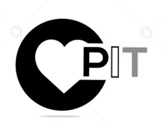 PIT logo