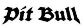 PIT BULL logo