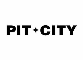 PIT CITY logo