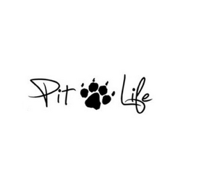 PIT LIFE logo