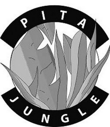 PITA JUNGLE logo