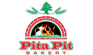 PITA PIT BAKERY ALL NATURAL · NO CHOLESTEROL logo