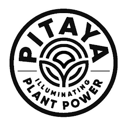PITAYA ILLUMINATING PLANT POWER logo