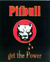 PITBULL GET THE POWER logo