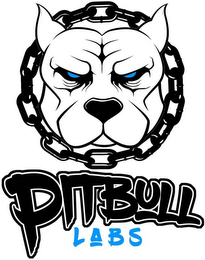 PITBULL LABS logo