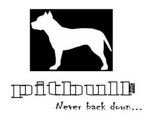 PITBULL NYC NEVER BACK DOWN... logo