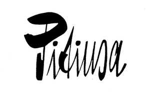 PITIUSA logo