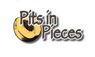 PITS IN PIECES logo