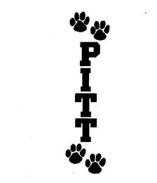 PITT logo