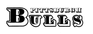 PITTSBURGH BULLS logo