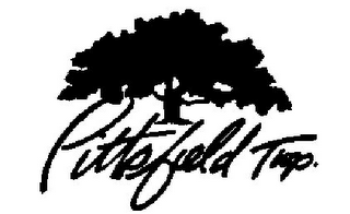 PITTSFIELD TWP. logo