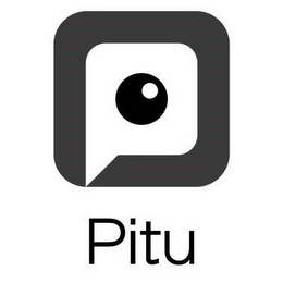 PITU logo