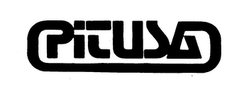PITUSA logo