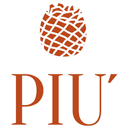 PIU' logo