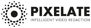 PIXELATE INTELLIGENT VIDEO REDACTION logo
