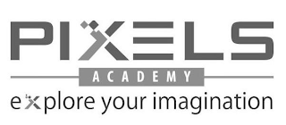 PIXELS ACADEMY EXPLORE YOUR IMAGINATION logo