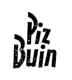 PIZ BUIN logo