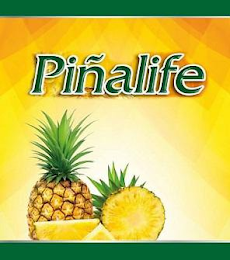 PIÑALIFE logo