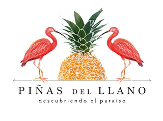 PIÑAS DEL LLANO DESCUBRIENDO EL PARAISO logo