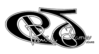 PJ PARISH JAMES logo