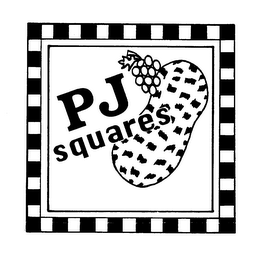 PJ SQUARES logo