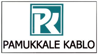 PK PAMUKKALE KABLO logo