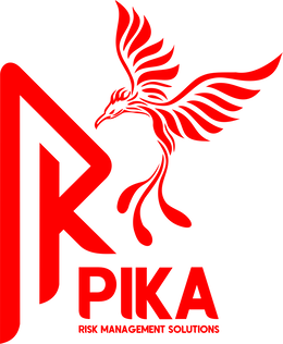 PK PIKA RISK MANAGEMENT SOLUTIONS logo