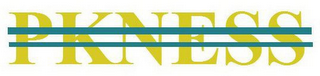 PKNESS logo