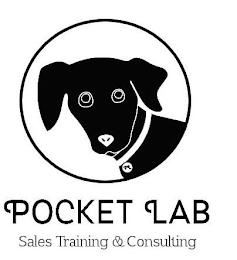 PL POCKET LAB SALES TRAINING & CONSULTING logo
