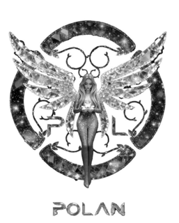 PL POLAN logo