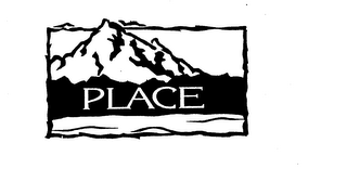 PLACE logo