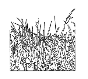 PLACE logo