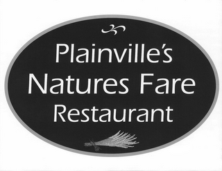 PLAINVILLE'S NATURES FARE RESTAURANT logo