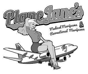 PLANE JANE'S MEDICAL MARIJUANA & RECREATIONAL MARIJUANA PJ logo