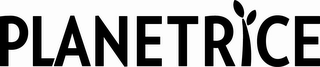 PLANET RICE logo