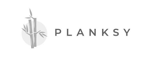 PLANKSY logo