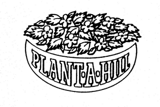 PLANT-A-HILL logo