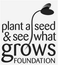 PLANT A SEED & SEE WHAT GROWS FOUNDATION logo