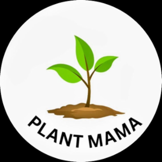 PLANT MAMA logo