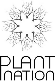 PLANT NATION logo